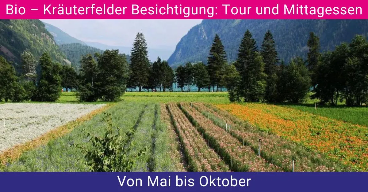 Biologische Kräuterapotheke Raselli - Le Prese (Poschiavo).